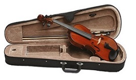 270-160-massief-viool