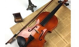 270-160-viool-kleur1