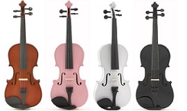 270-160-viool-kleur1