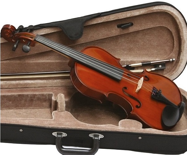 1/10  Viool Massief - Super Speelklaar "  Handgemaakte  Viool  met palissander onderdelen.  De massieve kast geeft de viool een warme, aangename toon. 