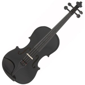 vn-44-zwart-stagg-viool